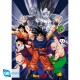 DRAGON BALL - Portfolio 9 posters DBZ/Groupe (21x29,7) X5
