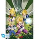 DRAGON BALL - Portfolio 9 posters DBZ/Groupe (21x29,7) X5