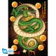 DRAGON BALL - Portfolio 9 posters DBZ/Groupe (21x29,7) X5