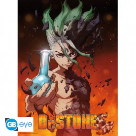 DR STONE - Poster Chibi 52x38 - Senku