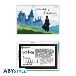 HARRY POTTER - Standard Magnet - Harry & Hogwarts x4