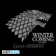 GAME OF THRONES - Tshirt "Winter is coming" homme MC black - New fit
