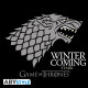 GAME OF THRONES - Tshirt "Winter is coming" femme MC black - basic*