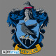 HARRY POTTER - Tshirt "Serdaigle" homme MC gris & bleu - premium*