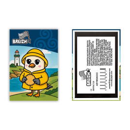 THE GOOD GIFT - Aimant Standard - Mouette Breizh Kawaii x4