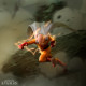ONE PUNCH MAN - Figurine "Saitama" x2