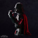 STAR WARS - Bust "Darth Vader" x2 