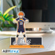 HAIKYU!! - Acryl® - Hinata x2
