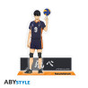 HAIKYU!! - Acryl® - Kageyama x2