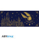 HARRY POTTER - Mug - 460 ml - Vif d'or - boîte carton x2