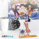 ONE PIECE - Acryl® - Robin x2