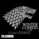 GAME OF THRONES - Tshirt "Winter is coming" femme MC black - basic