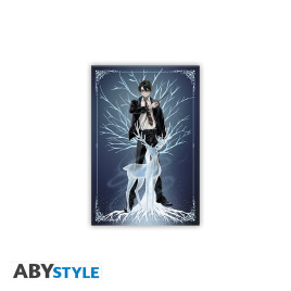 HARRY POTTER - Standard Magnet - Harry Patronus x4
