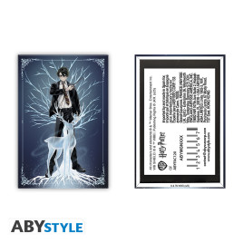 HARRY POTTER - Aimant Standard - Harry Patronus x4